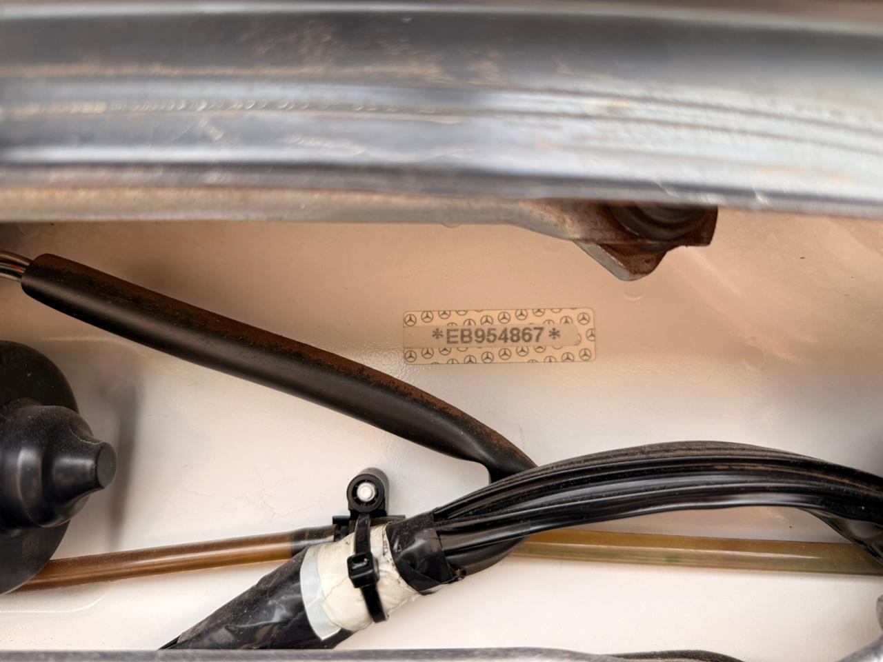 WhatsApp Image 2026-01-28 at 10.49.10