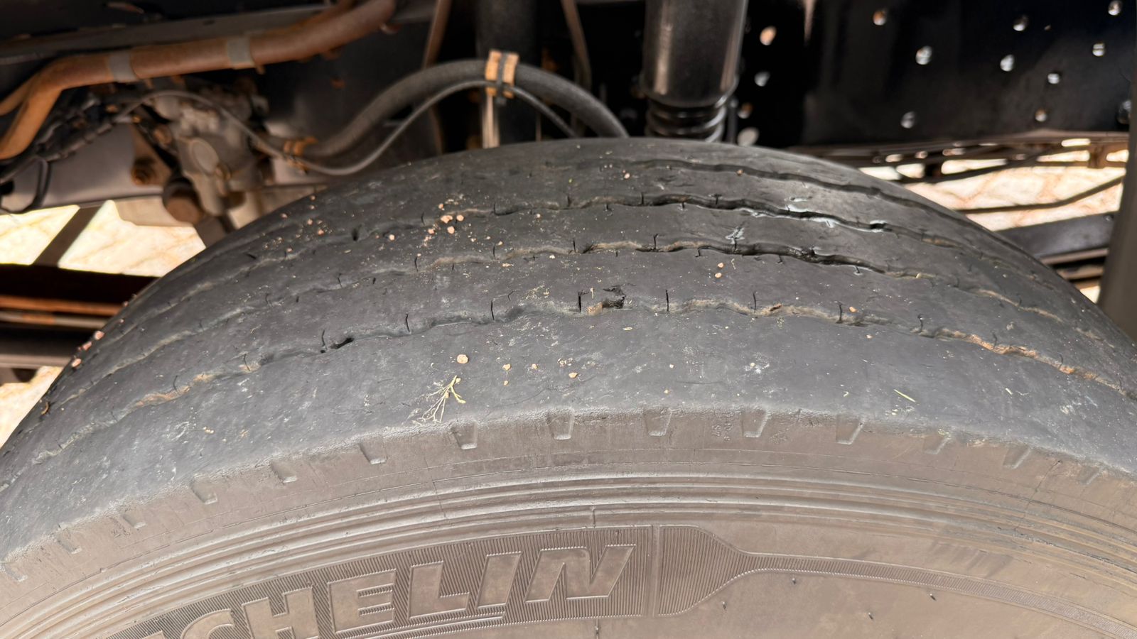 WhatsApp Image 2026-02-11 at 10.02.55 (1)