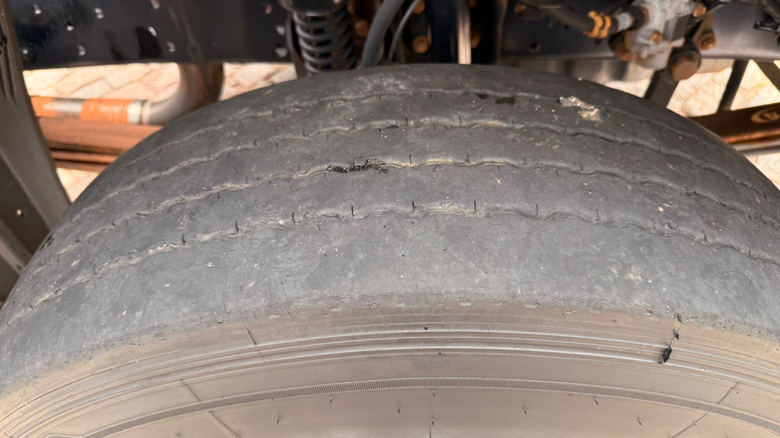 WhatsApp Image 2026-02-11 at 10.02.56 (1)