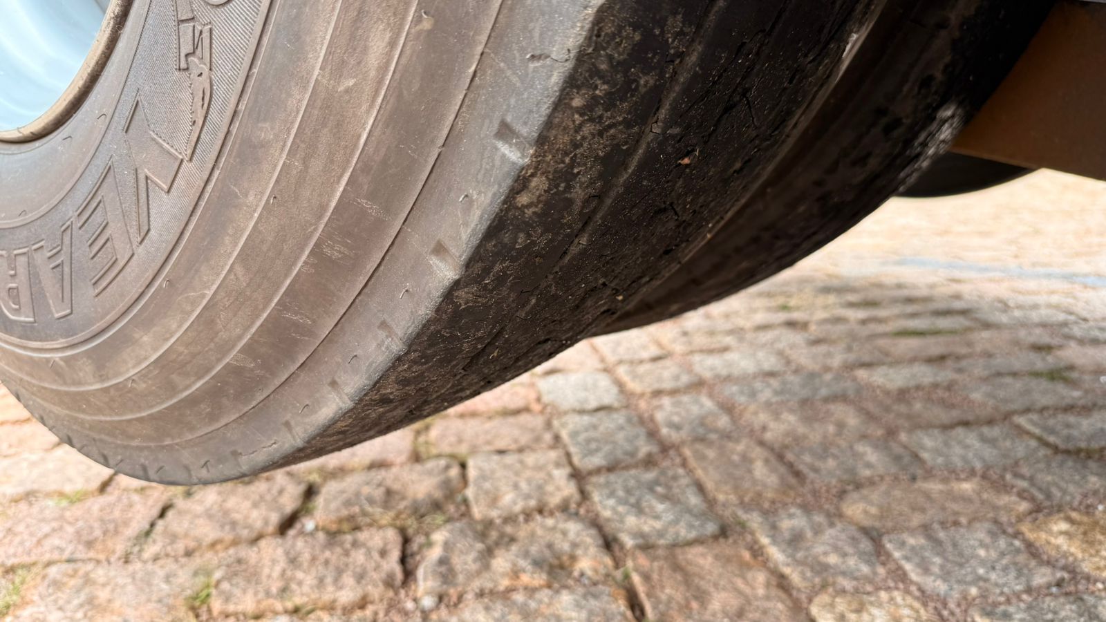 WhatsApp Image 2026-02-11 at 10.03.05 (3)