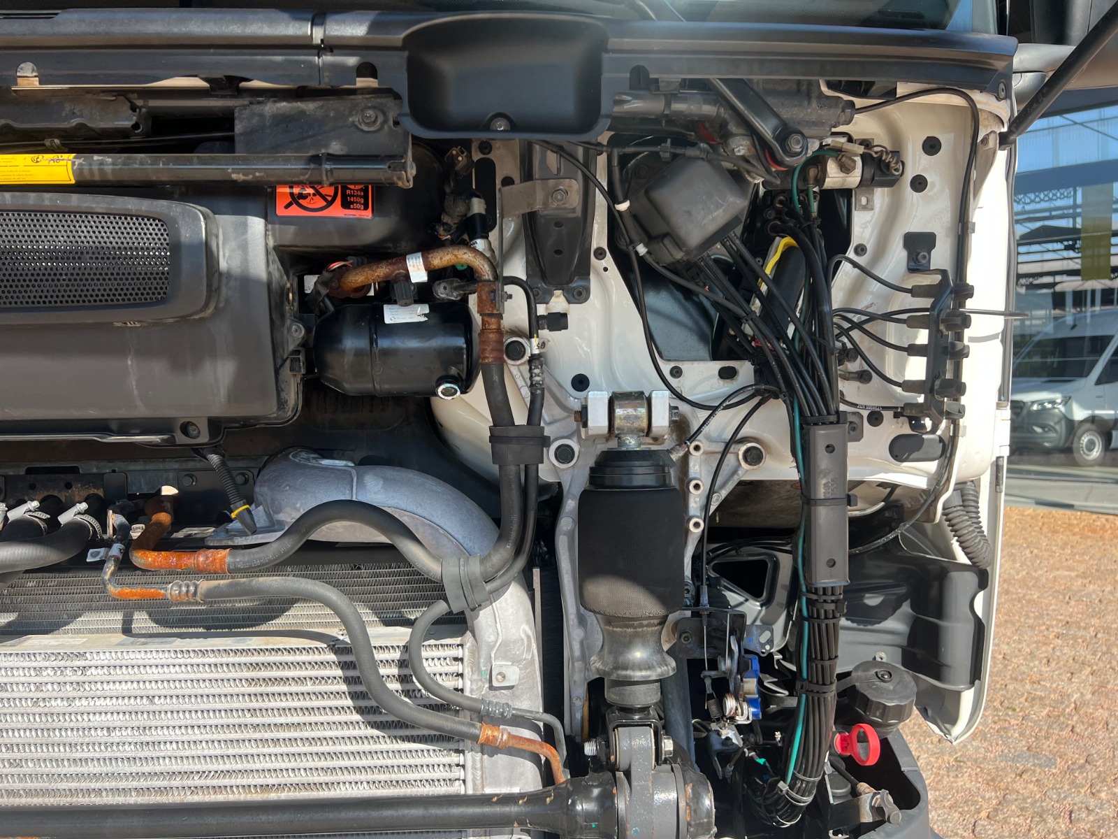 WhatsApp Image 2026-03-24 at 11.00.10 (1)